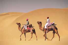 honeymoon vacation package trip to rajasthan india, adventure camel safari trip to rajasthan, Rajasthan Camel Safari Tour, Camel Safari Tours Rajasthan India, Rajasthan North India Camel Safari Tour Package, sert Safari Tour Package Rajasthan